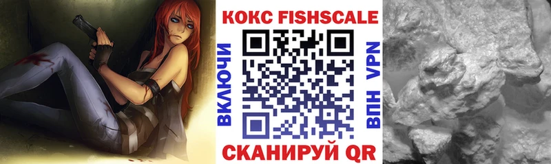 Cocaine Эквадор  OMG ONION  Кирсанов 