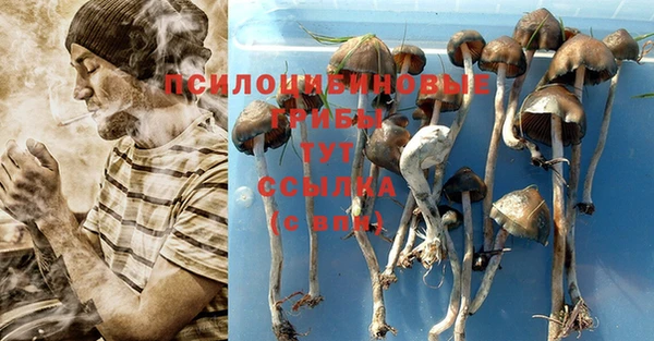 mdpv Покачи