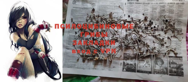 дмт Абаза