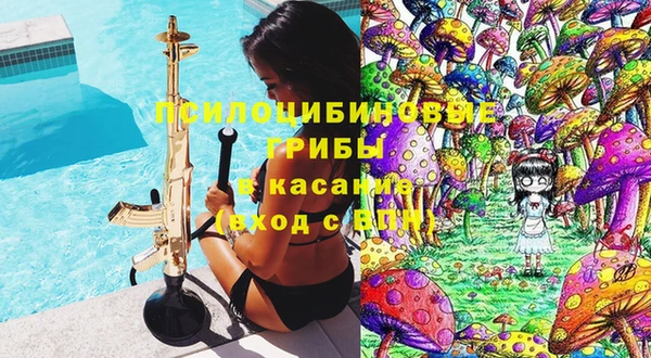 дмт Абаза