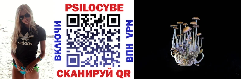 Псилоцибиновые грибы мицелий  где найти   Кирсанов 